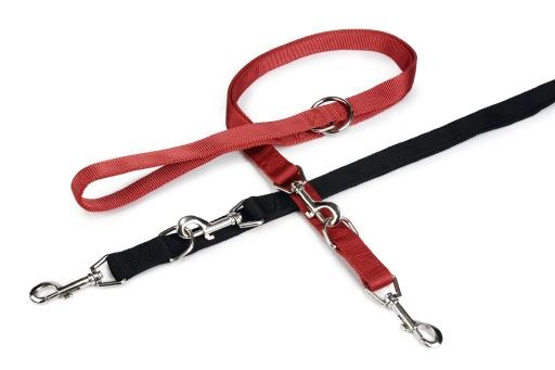 Afbeelding Nylon dressuurlijn voor hond dubbel gestikt rood 200x20 cm door Tuinexpress.nl