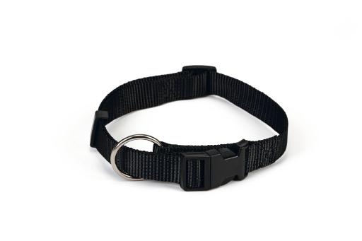 Afbeelding beeztees - halsband hond - nylon - zwart - 22-35 cm x 10 mm door Tuinexpress.nl