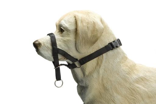 Afbeelding Beeztees Nylon dog control, zwart door Tuinexpress.nl