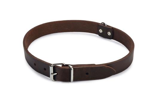 Afbeelding beeztees - halsband hond - leer - bruin - 55-65 cm x 25 mm door Tuinexpress.nl