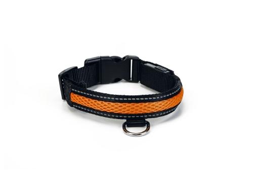 Afbeelding Beeztees Safety Gear Ruflo halsband met USB, klein door Tuinexpress.nl