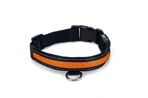 Afbeelding Beeztees Safety Gear Ruflo halsband met USB, medium door Tuinexpress.nl