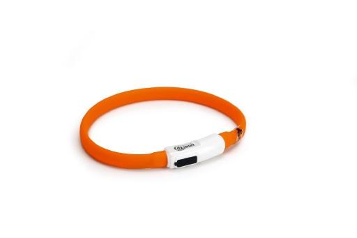 Afbeelding Beeztees Safety Gear Catini silicon halsband met USB door Tuinexpress.nl