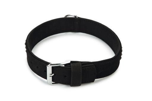 Afbeelding beeztees buffalo - halsband hond - leer - zwart - 65 cm door Tuinexpress.nl