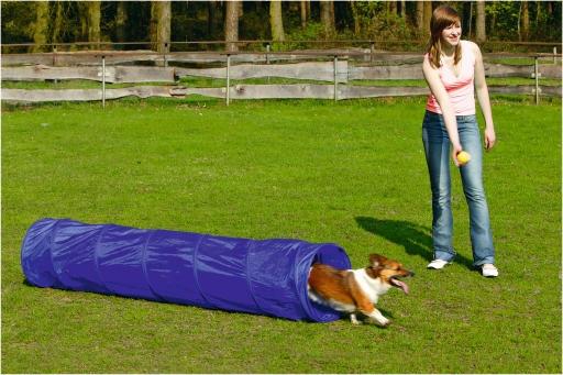 Afbeelding beeztees agility tunnel - hondenspeelgoed - s - 198x40x40 cm door Tuinexpress.nl