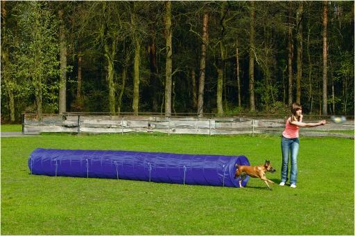 Afbeelding beeztees agility tunnel - hondenspeelgoed - l - 525x60x60 cm door Tuinexpress.nl