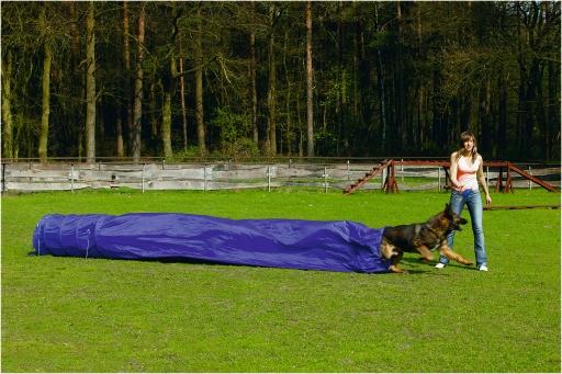 Afbeelding beeztees agility tunnel met zak - hondenspeelgoed - 500x60x60 cm door Tuinexpress.nl