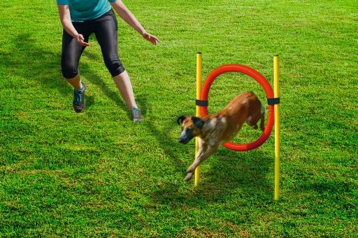 Afbeelding beeztees agility hoepel set - hondenspeelgoed - dia. 60 cm door Tuinexpress.nl