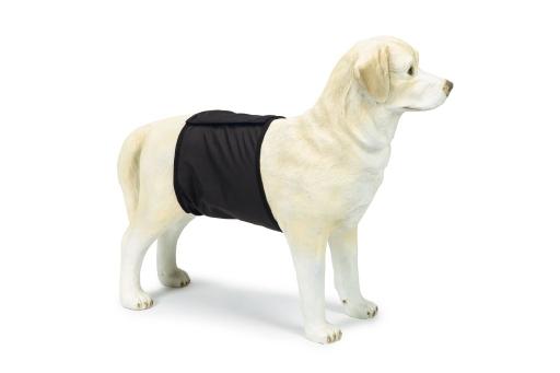 Afbeelding beeztees incontinentieband reu - hond - zwart - xs - 40x10 cm door Tuinexpress.nl