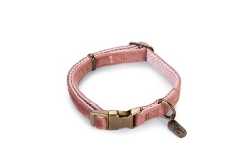 Afbeelding Designed by lotte velura - hondenhalsband - fluweel - roze - 26- 40cmx15mm door Tuinexpress.nl