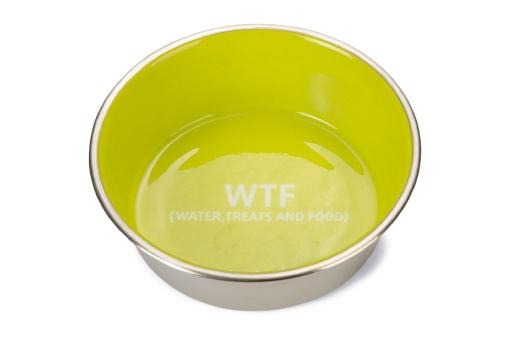 Afbeelding Beeztees voer- en drinkbak wtf - hond - rvs - groen - 20cm door Tuinexpress.nl