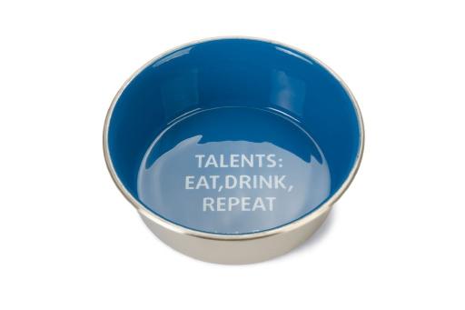 Afbeelding Beeztees voer- en drinkbak talents - hond - rvs - blauw - 16cm door Tuinexpress.nl