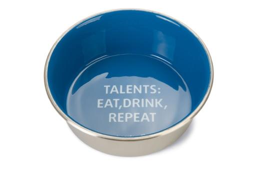 Afbeelding Beeztees voer- en drinkbak talents - hond - rvs - blauw - 20cm door Tuinexpress.nl