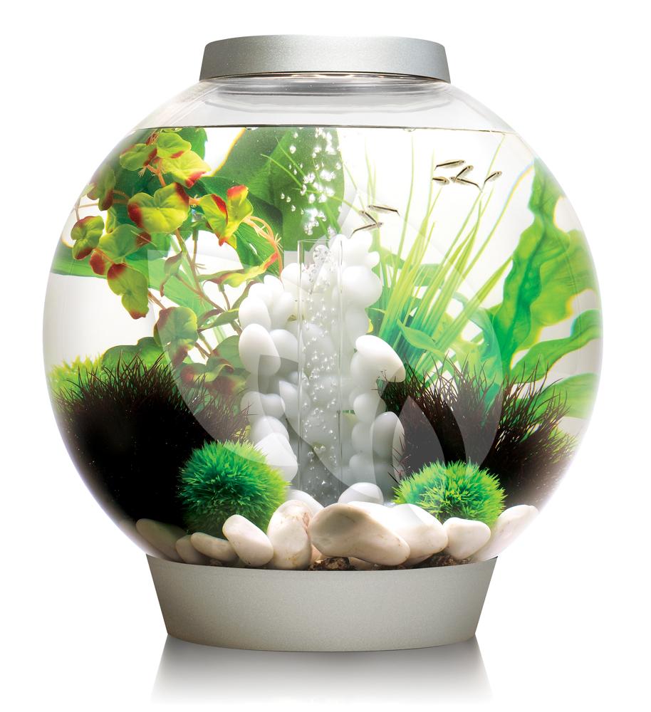 BiOrb Classic aquarium 60 liter LED zilver Tuinexpress.nl