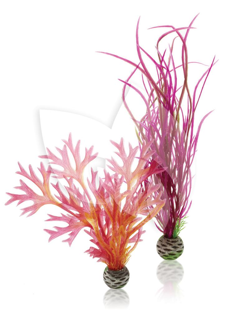 Wijden Geologie Hulpeloosheid BiOrb planten medium rood & roze aquarium decoratie | Tuinexpress.nl