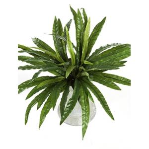 Kunstplant Asplenium M