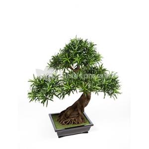 Kunstplant Podocarpus bonsai L