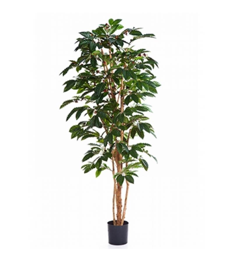 Kunstplant Coffea arabica M