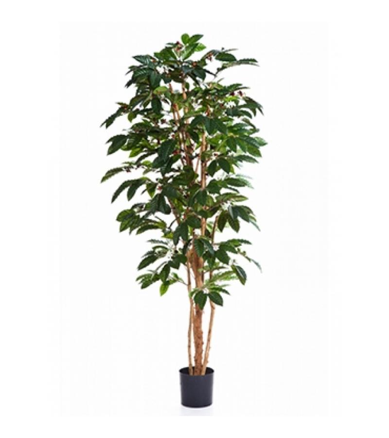 Kunstplant Coffea arabica L