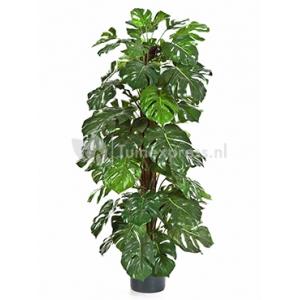 Kunstplant Monstera deliciosa L