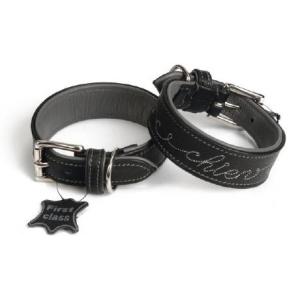 Leren honden halsband chien - 40 cm x 35 mm